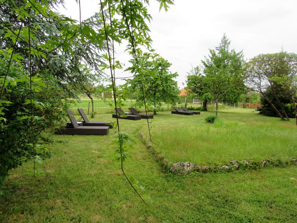 Auberge Du Grand Dauphin Dhuizon ภายนอก รูปภาพ