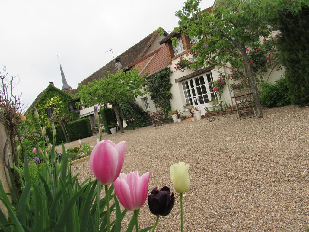 Auberge Du Grand Dauphin Dhuizon ภายนอก รูปภาพ